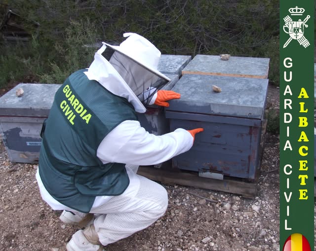 LA GUARDIA CIVIL DE ALBACETE DETIENE A DOS PERSONAS POR LA SUSTRACCIÓN DE COLMENAS APÍCOLAS