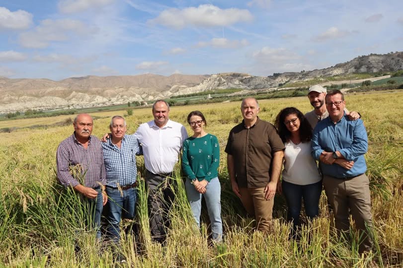 EL GOBIERNO REGIONAL DESTACA QUE LA CALIDAD DE LA PRODUCCIÓN DEL COTO ARROCERO DE LAS MINAS HA LOGRADO QUE SEA EL MEJOR VALORADO DE ESPAÑA