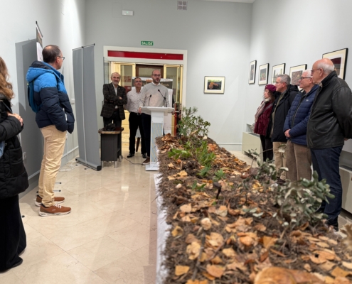 EL CHALÉ FONTECHA ACOGE, HASTA EL 15 DE ENERO, LA EXPOSICIÓN ‘SETAS Y HONGOS DE ALBACETE’ DE LA MANO DEL IEA Y LA SOCIEDAD MICOLÓGICA