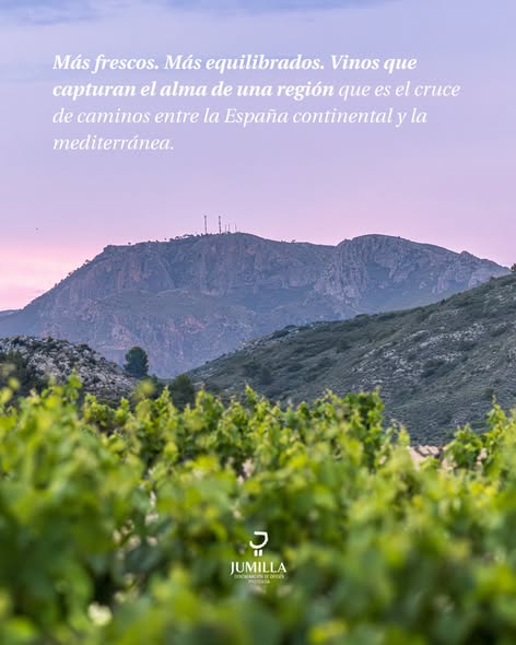 LA DOP JUMILLA, ELEGIDA «REGIÓN DEL AÑO» POR TIM ATKIN MW Y BETH WILLARD